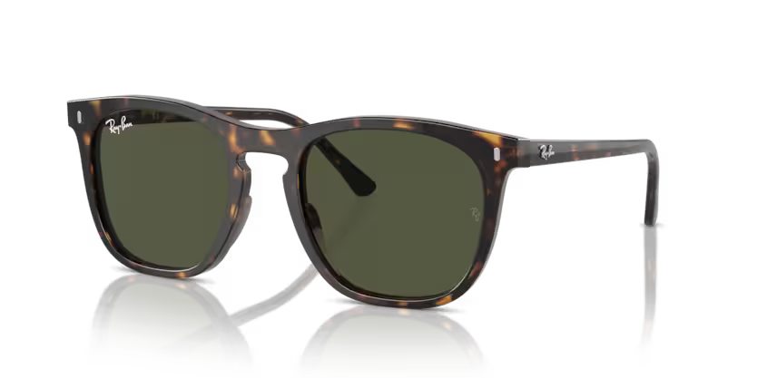 Ray-Ban 0RB2210 902/31