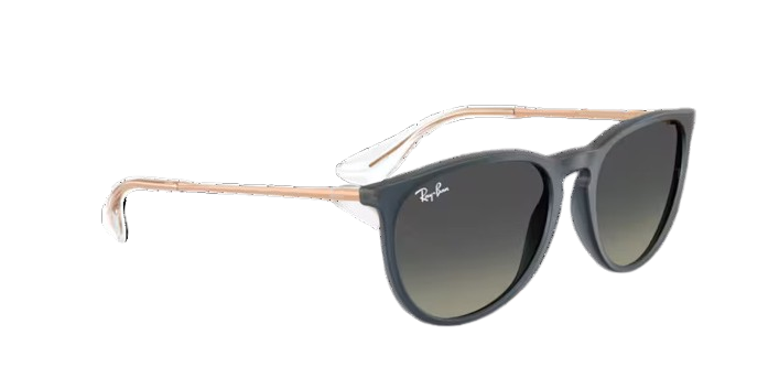 Ray-Ban 0RB4171 ERIKA 681311