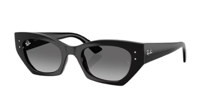 RAY-BAN 0RB4430 667711