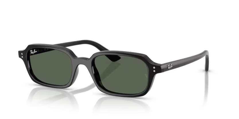 Ray-Ban Zuri 0RB4455 667771