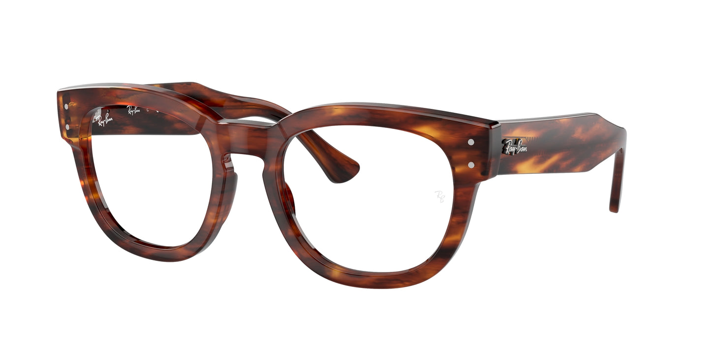 RAY-BAN 0RX0298V 2144
