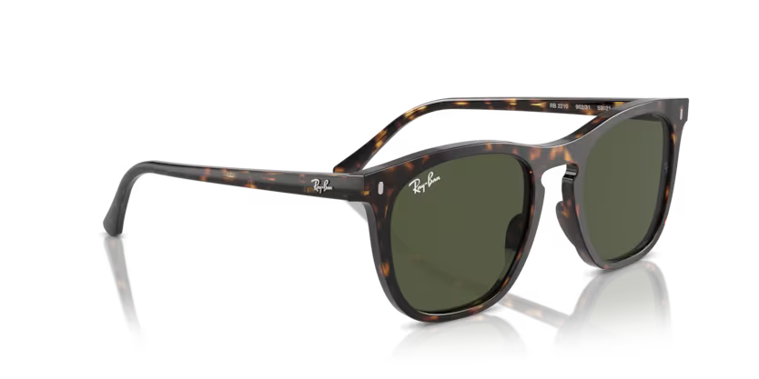 Ray-Ban 0RB2210 902/31