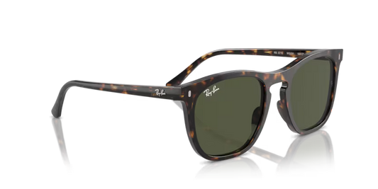 Ray-Ban 0RB2210 902/31