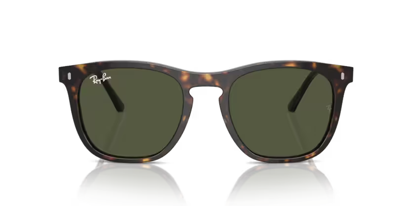 Ray-Ban 0RB2210 902/31