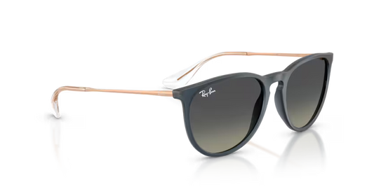 Ray-Ban Erika 0RB4171 681311