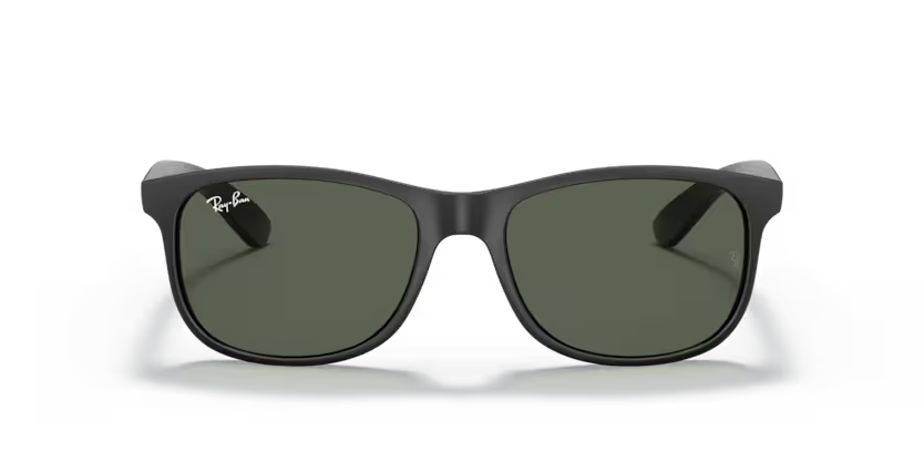 Ray-Ban Andy 0RB4202 6069/71