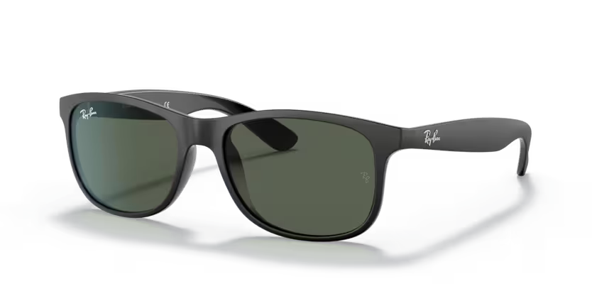 Ray-Ban Andy 0RB4202 6069/71