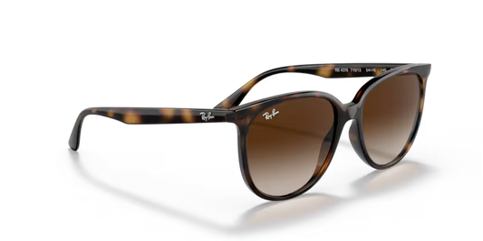 Ray-Ban 0RB4378 710/13