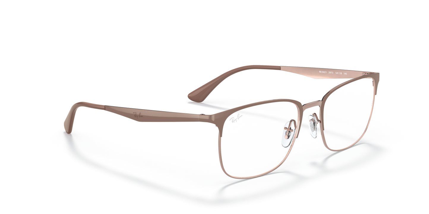Ray-Ban 0RB6421 2973