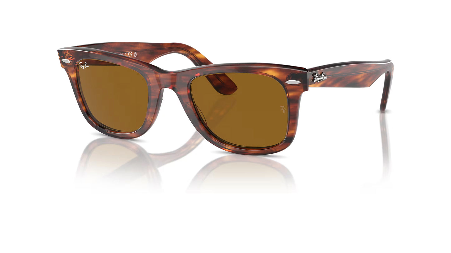 Ray-Ban WAYFARER