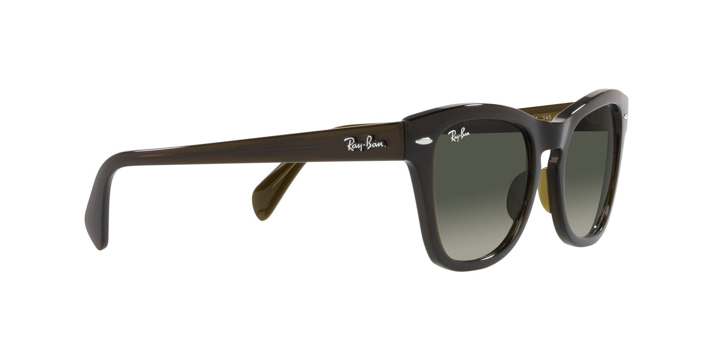 Ray-Ban RB0707S 664271