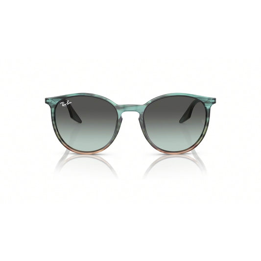 Ray-Ban RB2204 1394GK