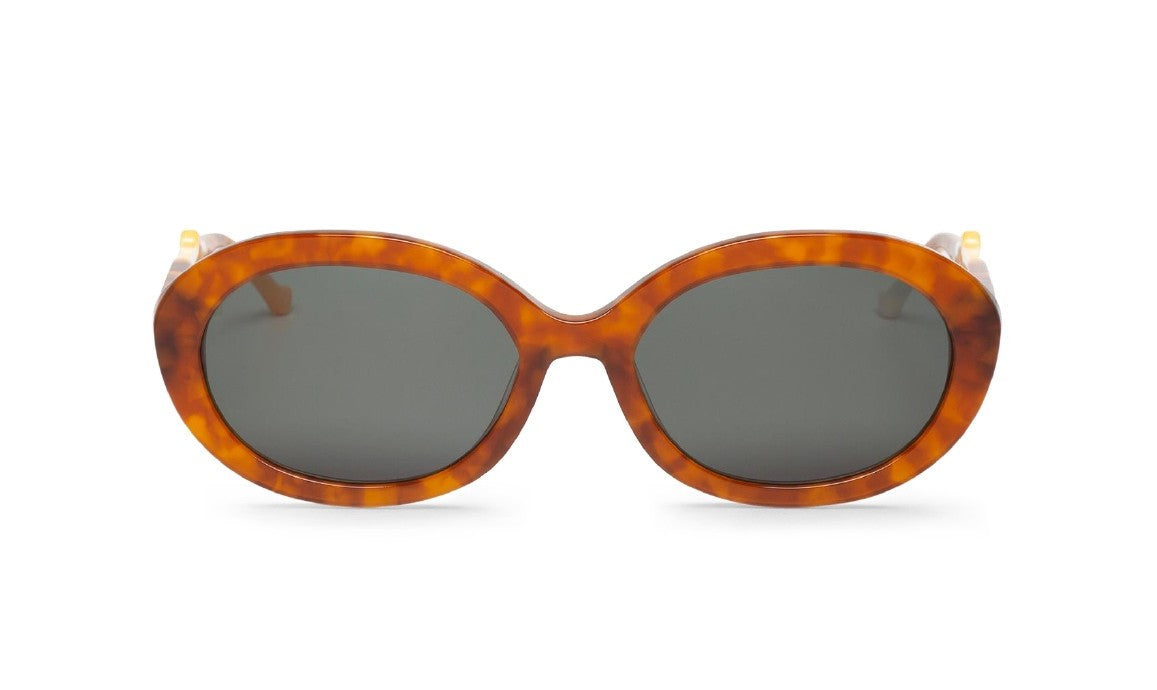 Mr. Boho Daisy 01